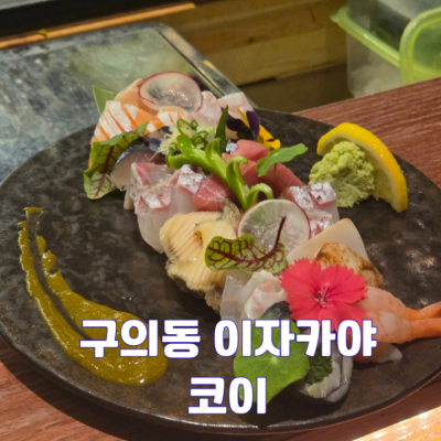 코이 대표후기 이미지 1